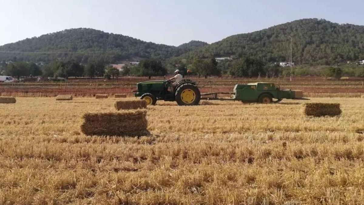 Una embaladora en un campo de cereales.