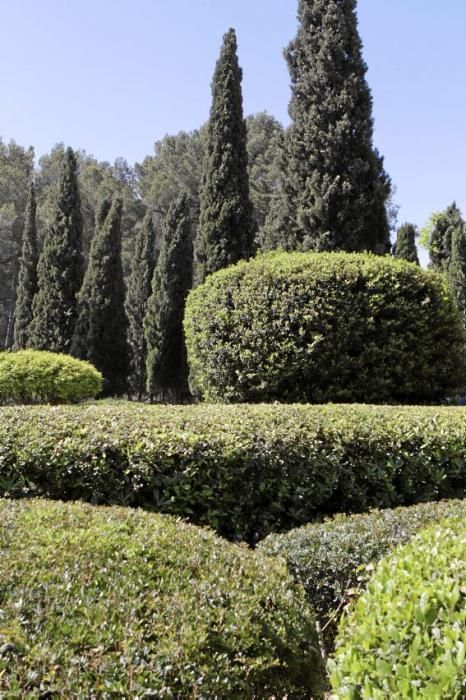 Lustwandeln wird zum Bürgerrecht. Die Gärten der königlichen Sommerresidenz in Palma öffnen erstmals für Besucher. Darüber freuen sich nicht nur Botanik-Fans, denn mit Skulpturen von Joan Miró kehr