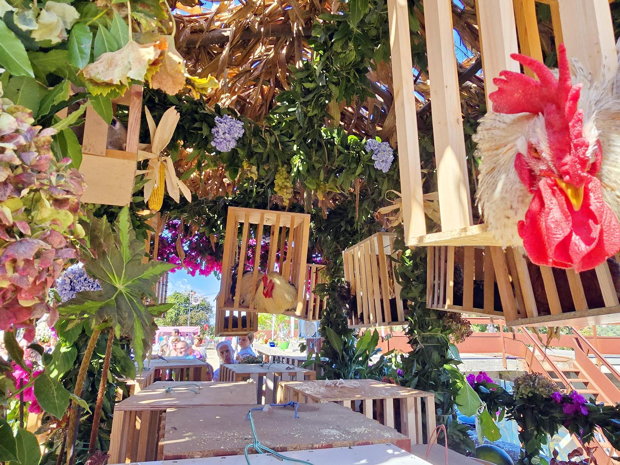 Tradicional procesión en San Miguel de Peitieiros