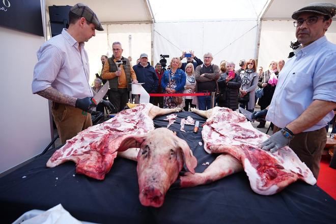 El ritual de la matanza del cerdo ibérico en Villanueva de Córdoba