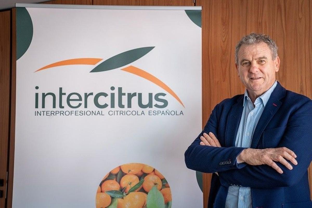 Celestino Recatalá, presidente de Intercitrus.