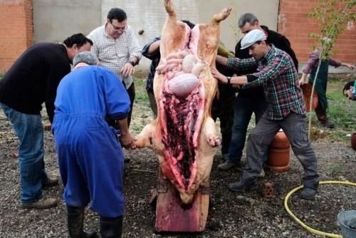 Matanza tradicional en Monfarracinos