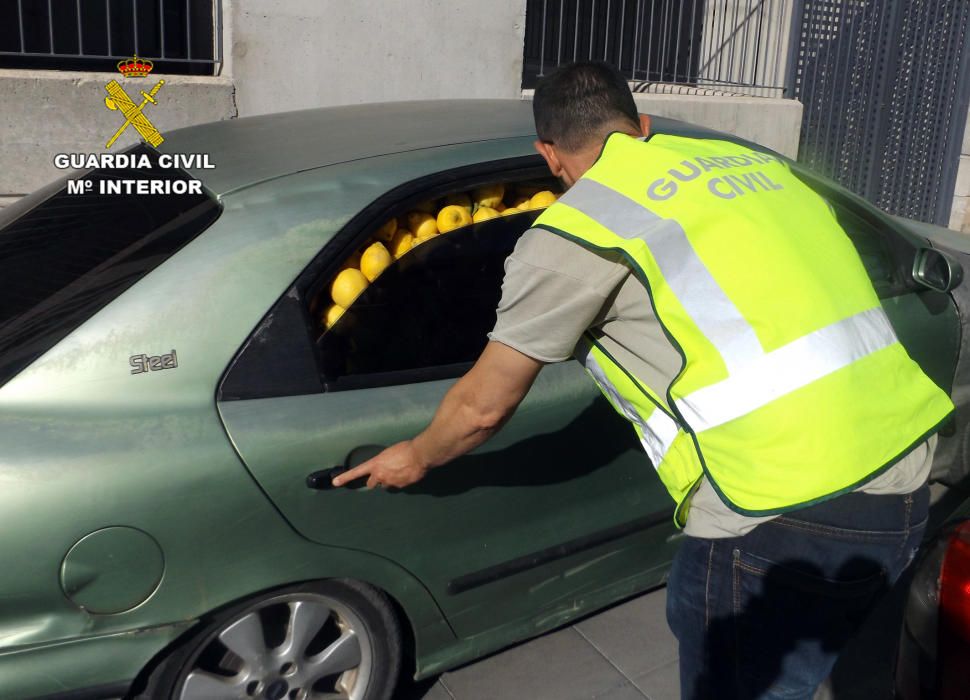 La Guardia Civil desmantela un grupo delictivo dedicado a la sustracción de limones en el Valle del Guadalentín