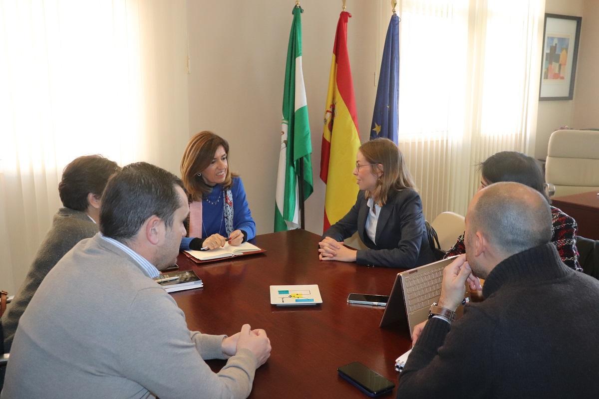 Reunión con la delegada de Salud, María Jesús Botella, de la Ejecutiva del Colegio, encabezada por la presidenta, Natalia Pérez (de frente, a la derecha); celebrada hace unas semanas.