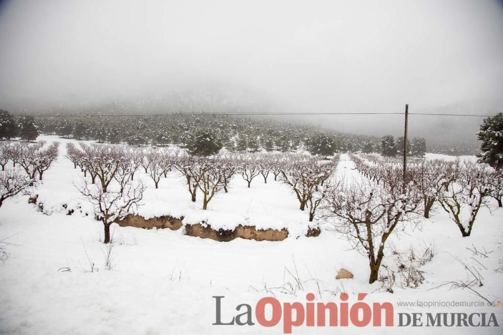 Temporal en el Noroeste (pedanías de El Moral y El