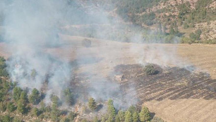 Els Bombers apaguen un foc agrícola a Coll de Nargó