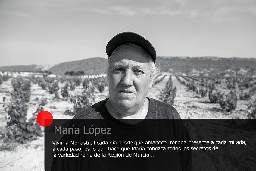 Exposición ''La Monastrell Perfecta''