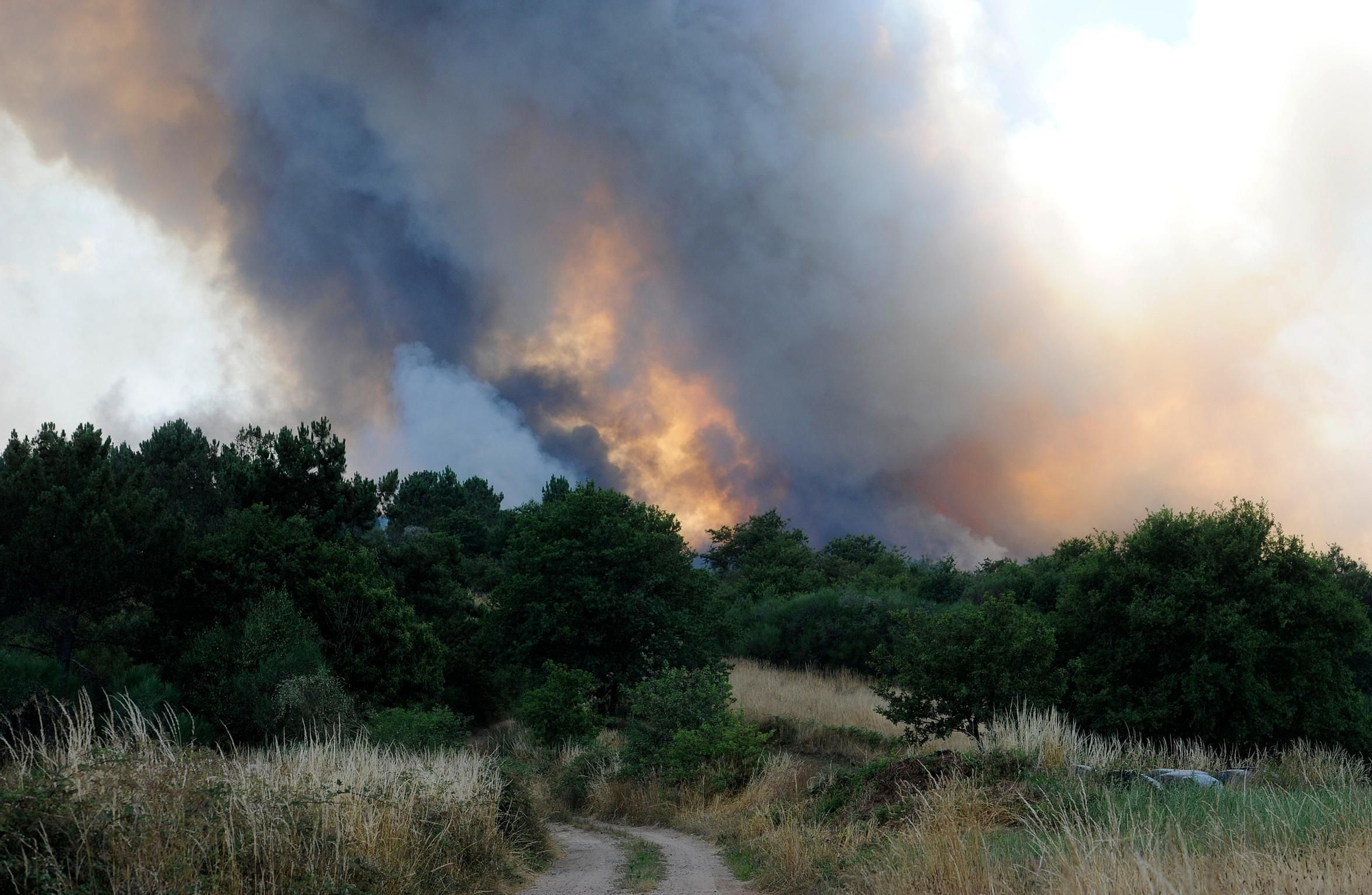 Una chispa provoca un incendio forestal en Lalín