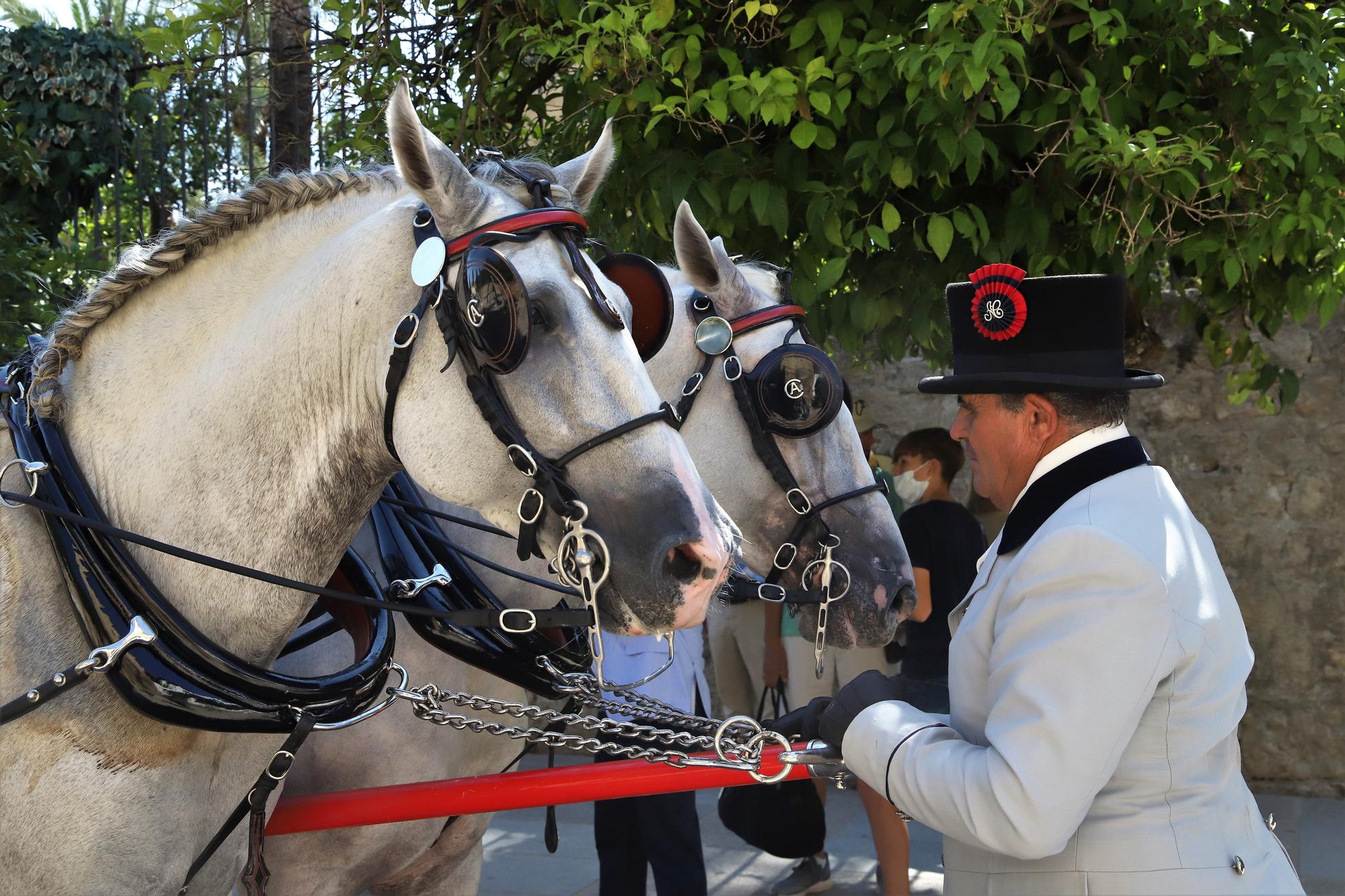 El atalaje de tradición regresa a España