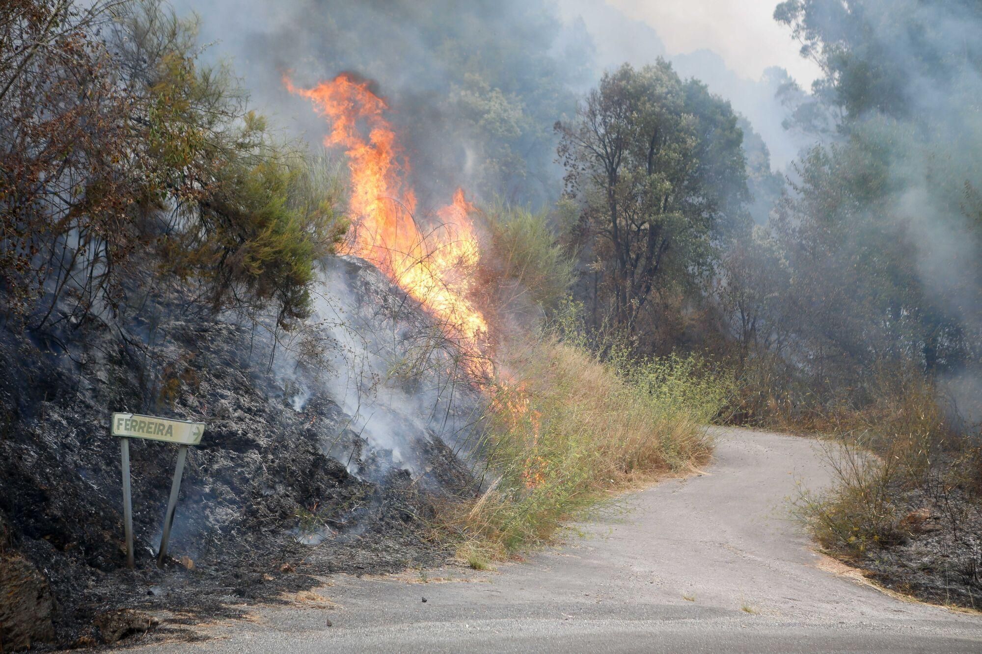 Incendio forestal se acerca a Quiroga, a 17 de agosto de 2025, en Quiroga, Lugo, Galicia (España). El incendio registrado en Larouco (Ourense) “se comportó de un modo explosivo” y pasó el Sil hasta por 15 puntos, para acabar entrando en la provincia de Lugo, al cruzar a Quiroga. La calidad del aire en Ourense y Lugo continúa viéndose afectada por los efectos de los incendios forestales en la provincia, donde aún hay 13 fuegos sin extinguir, 12 activos y 1 estabilizado, que ya han calcinado alrededor de 50.570 hectáreas. 17 AGOSTO 2025;INCENDIO;INCENDIO FORESTAL;LUGO;GALICIA Carlos Castro / Europa Press 17/08/2025. Carlos Castro;