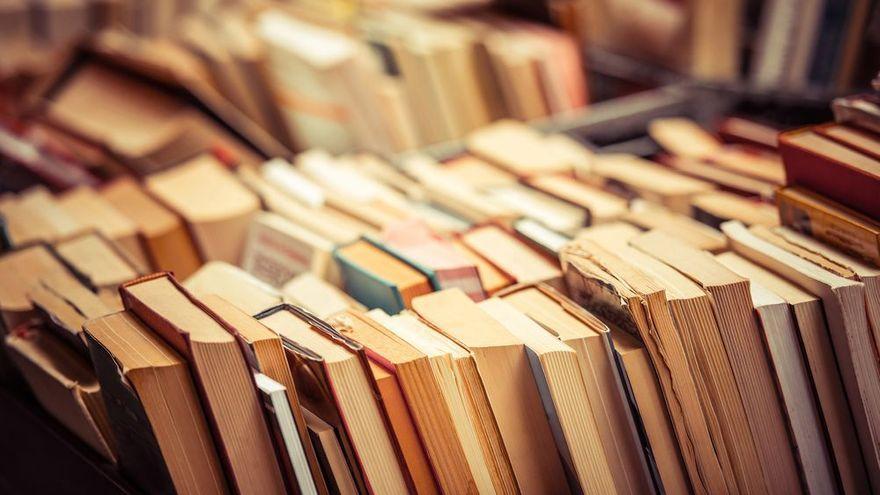 Las 10 recomendaciones literarias (más allá de los 'best sellers') para  acertar en el Día del Libro