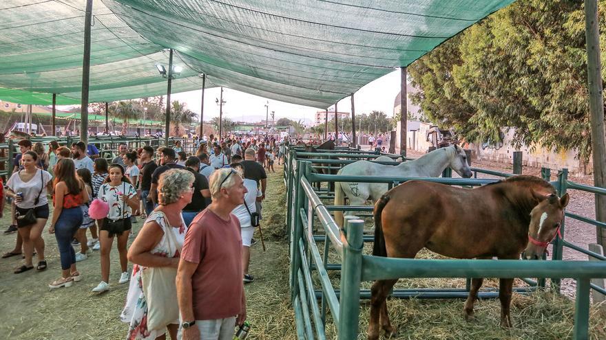 El TSJ condena al Ayuntamiento de Dolores a pagar 60.041 € por ocupar un suelo sin permiso para el Fegado