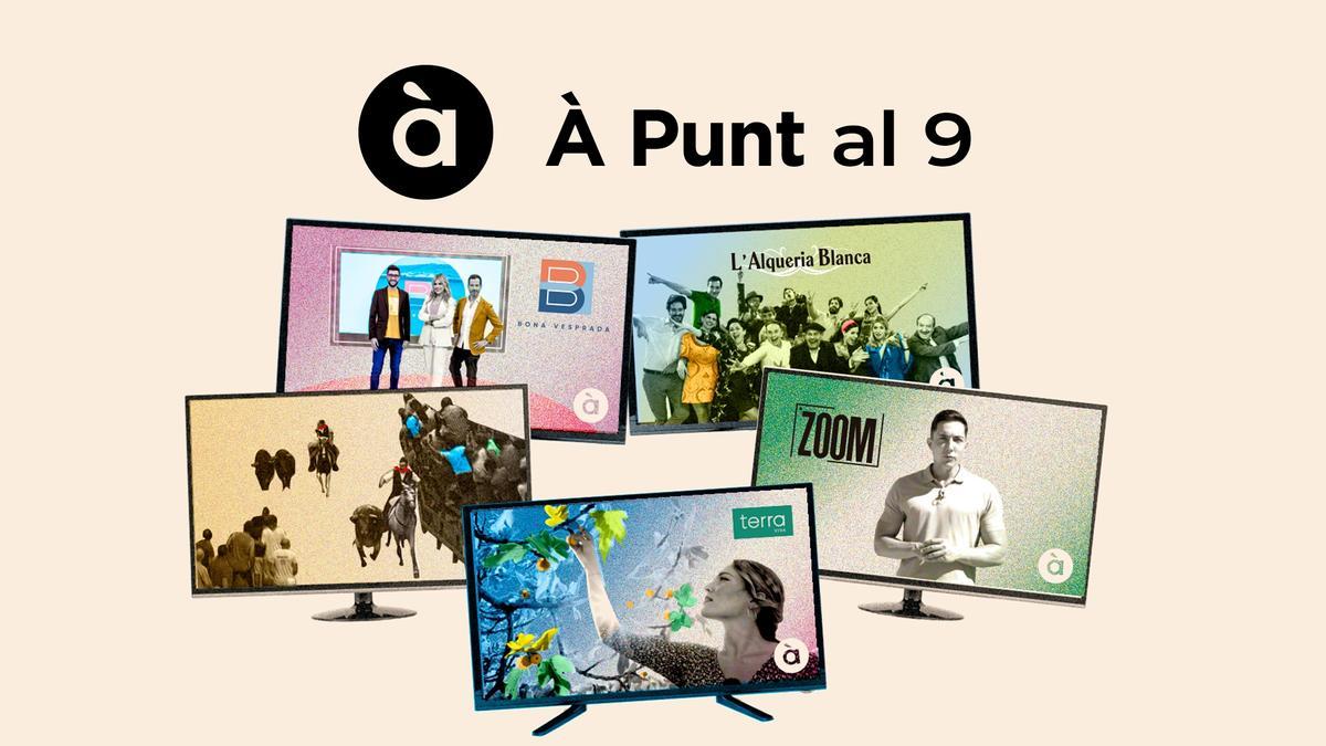 &#039;À Punt la província de Castelló és protagonista&#039; vol resoldre els problemes de molts veïns que no poden vore correctament la televisió pública autonòmica.