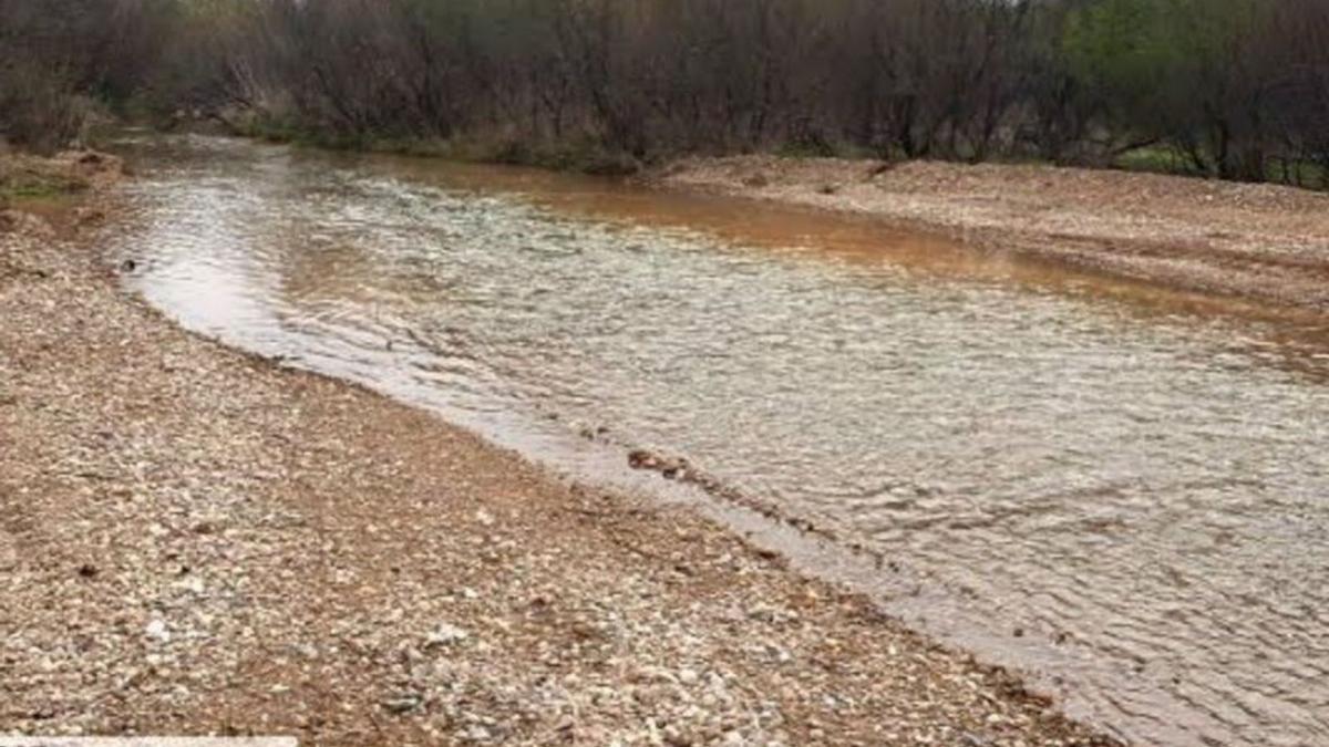 En el río Grío se está actuando en la zona de Las Lunas. | SERVICIO ESPECIAL