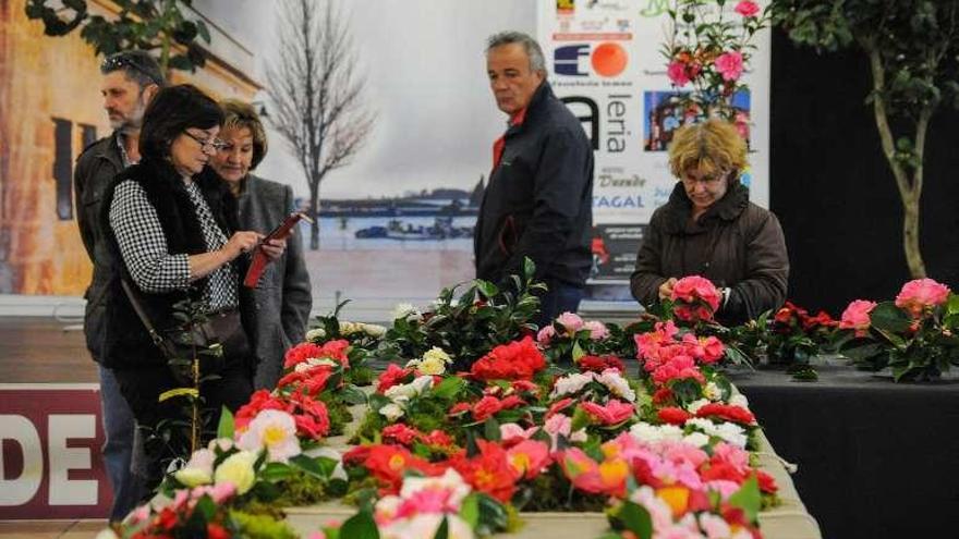 El público disfrutó con la belleza y frescura de las flores. // Iñaki Abella