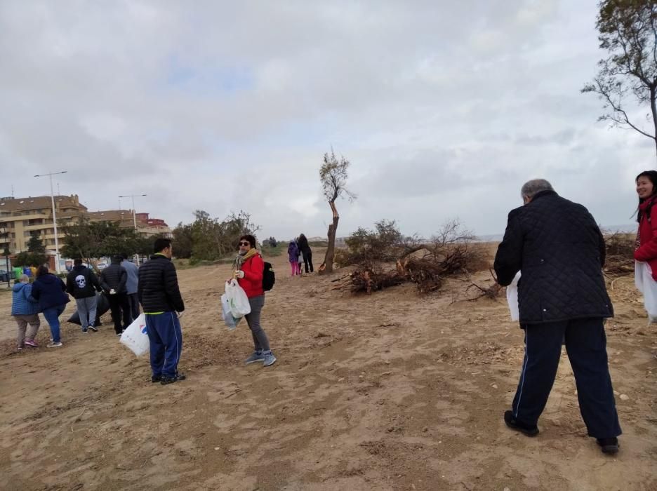 Voluntarios se lanza a las playas de Dénia a retirar la basura escupida por Gloria