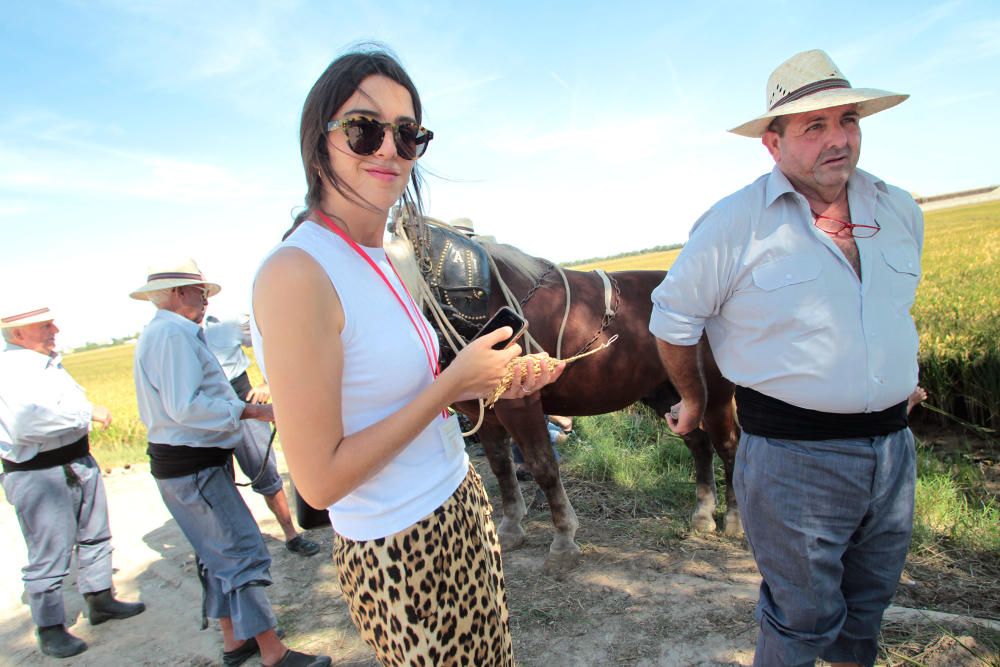 Fiesta de la Siega del Arroz