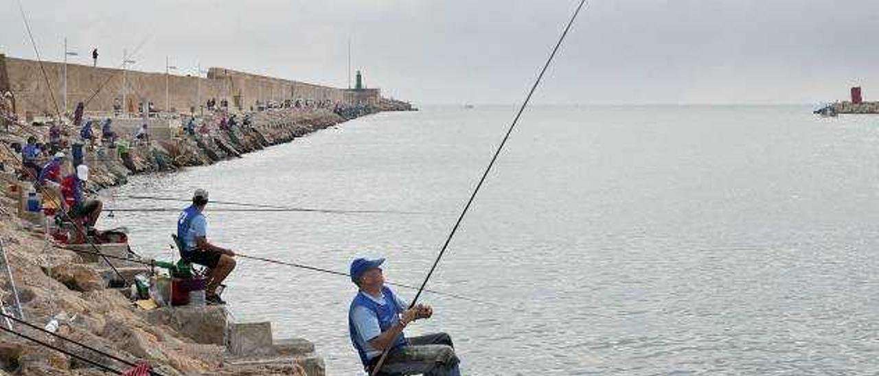 El Club de Pesca podrá usar el muelle sur del puerto - Levante-EMV