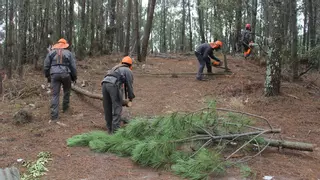 Brigadas municipales sin efectivos: la falta de jóvenes en el rural mina la lucha contra el fuego