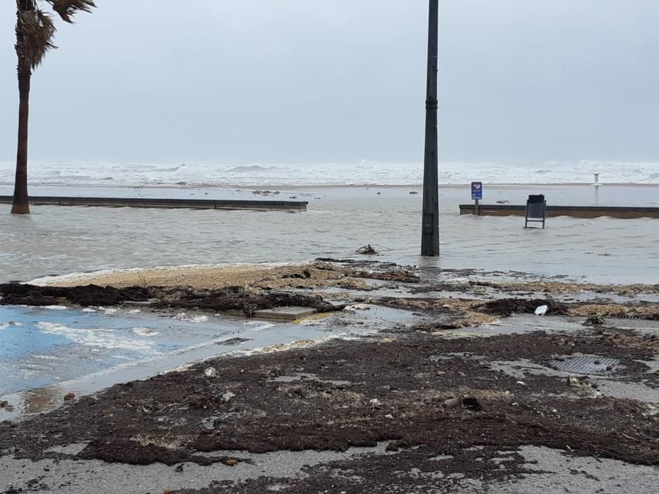 Playa de la Patacona, en Alboraia.