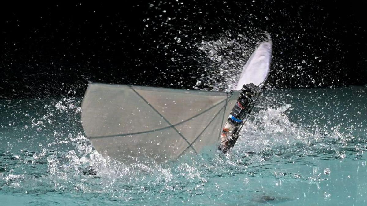 Un robot con alas batientes pasa del agua al aire.
