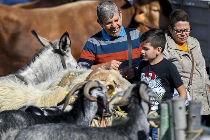 08-12-19 GRAN CANARIA. JINAMAR. JINAMAR. TELDE. Fiesta de la Inmaculade Concepcion y de la Caña Dulce de Jinamar, feria de ganado, procesión.. Fotos: Juan Castro.  | 08/12/2019 | Fotógrafo: Juan Carlos Castro