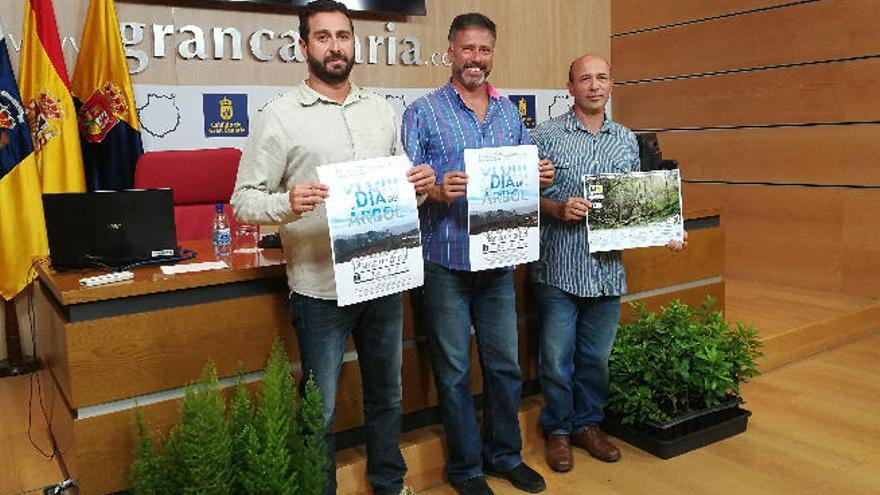 El pino canario reverdece la cumbre