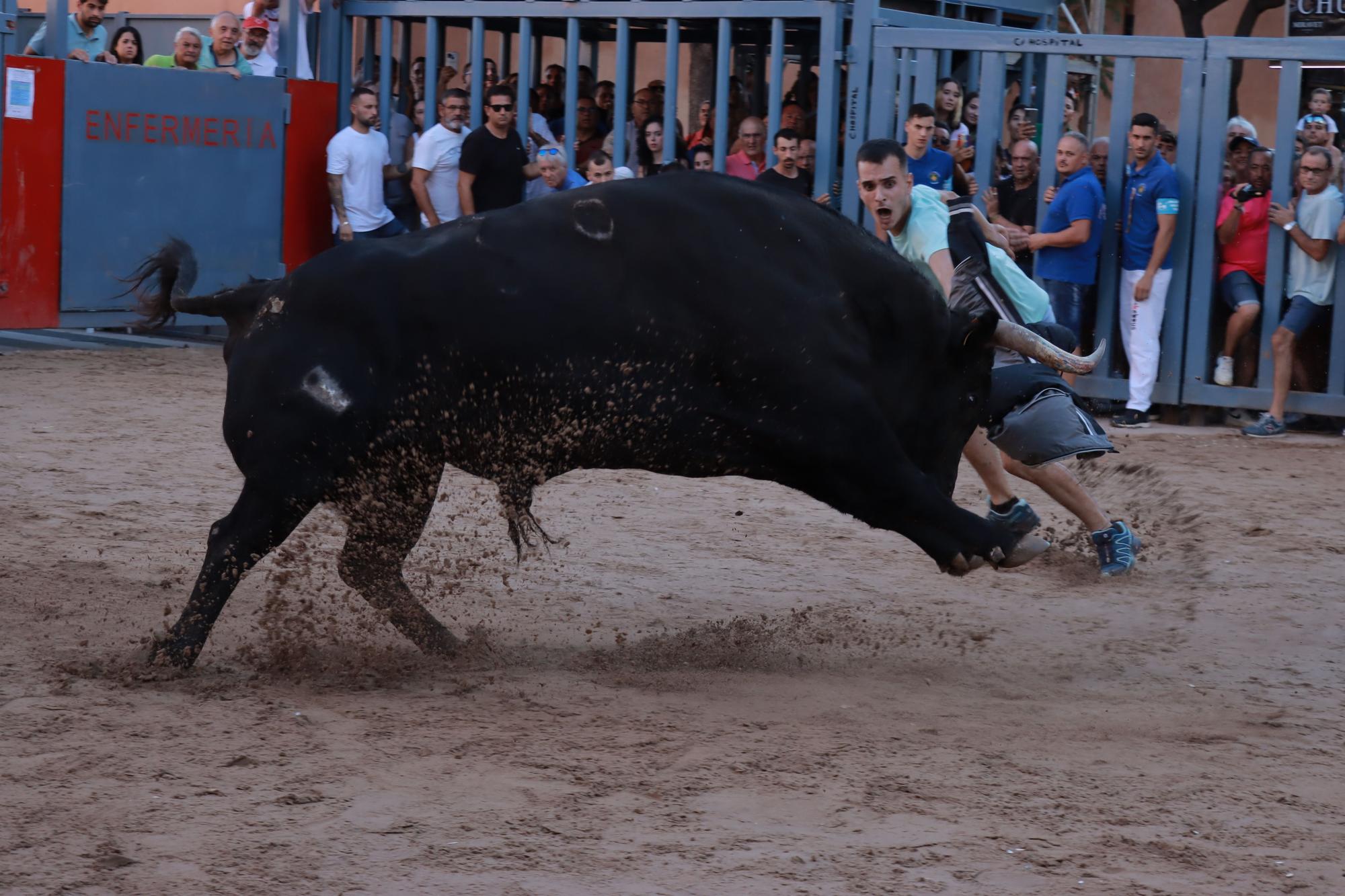 Vila-real galería bous