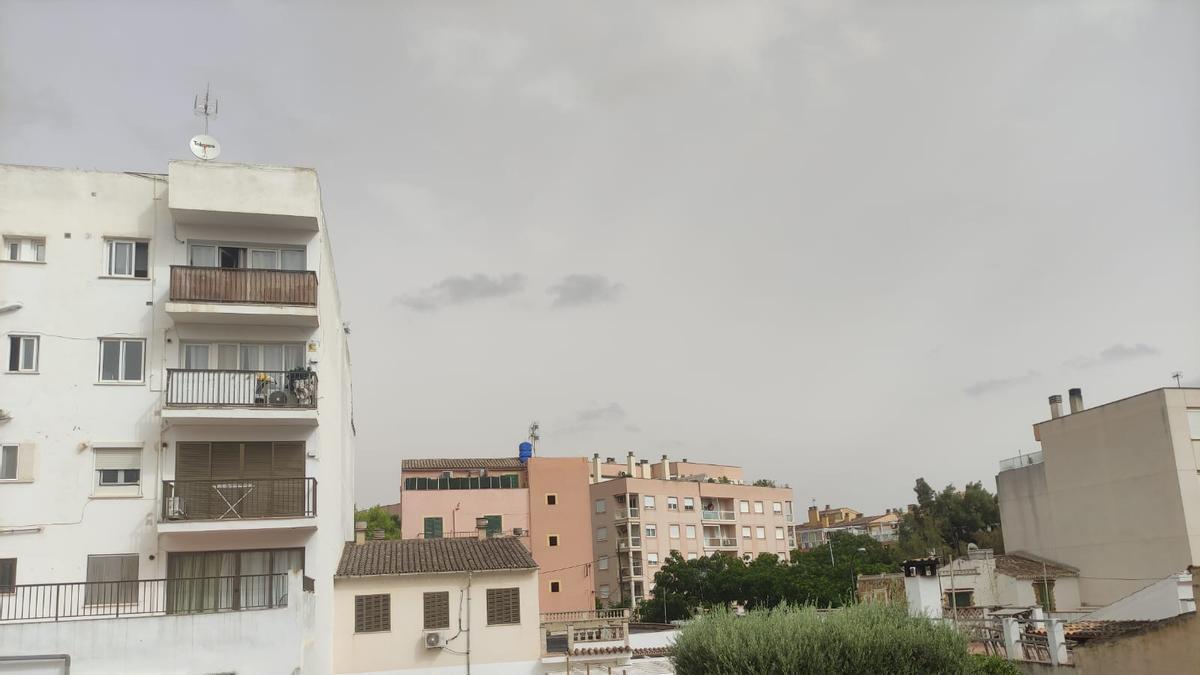 So diesig sieht es derzeit in Palma aus.