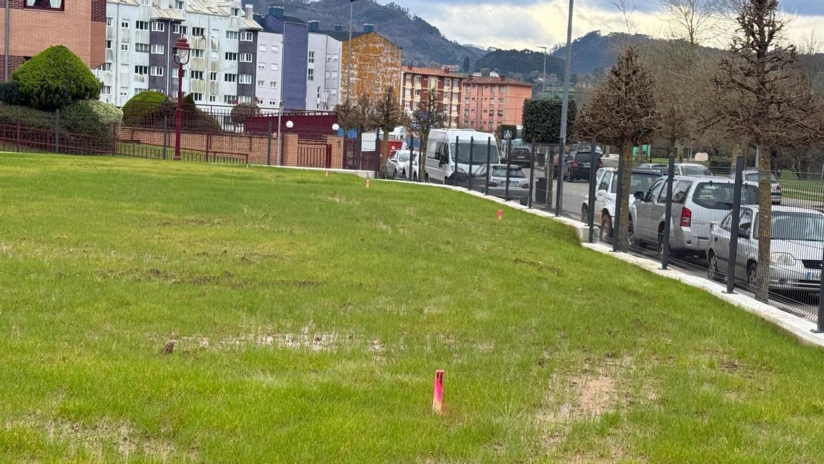 Las señales de las medidas realizadas para el nuevo deslinde en La Barquerina.