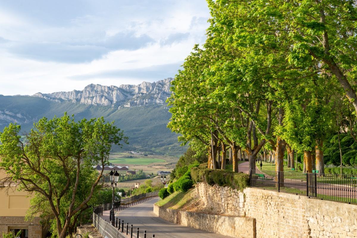 Laguardia (Álava)