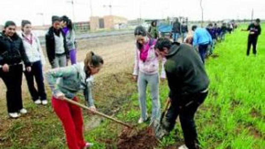 Apadrina un árbol ´de Plata´