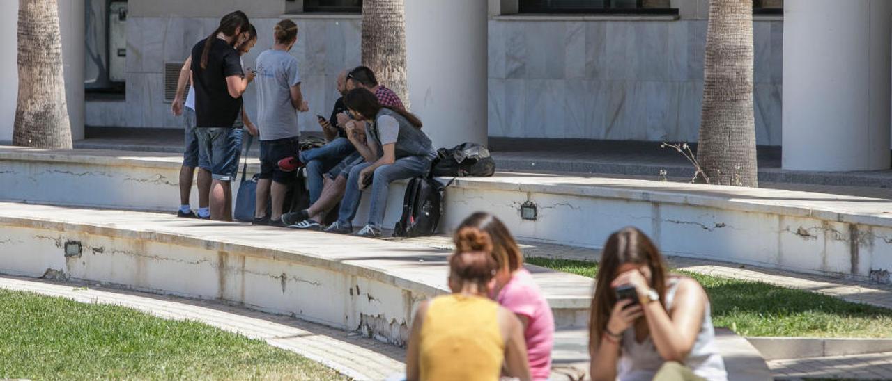 Grupos de alumnos de la Universidad de Alicante charlando este lunes a mediodía junto al Aulario II.