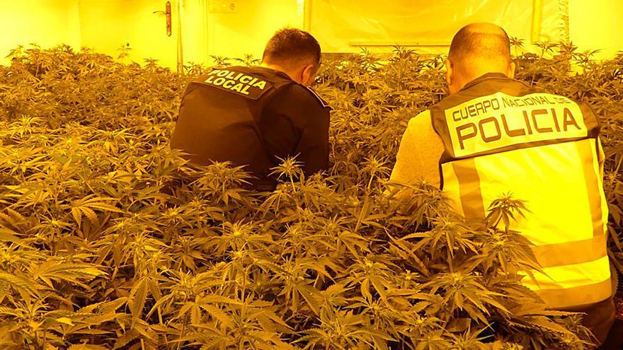 Acuden en Sevilla a una llamada por violencia de género y hallan una plantación de marihuana