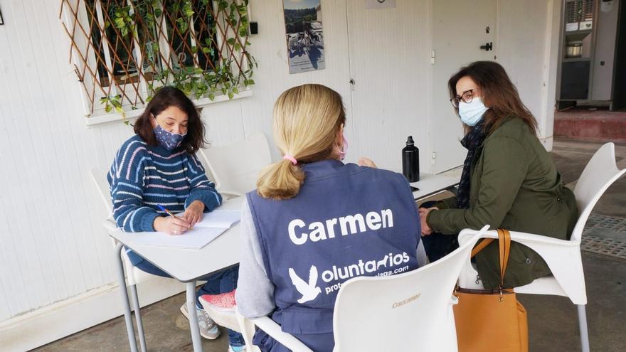 ANDALUCÍA.-Málaga.- Adelante pide que la Diputación cree un Área de Derecho Animal y que potencie la adopción y el sacrificio cero