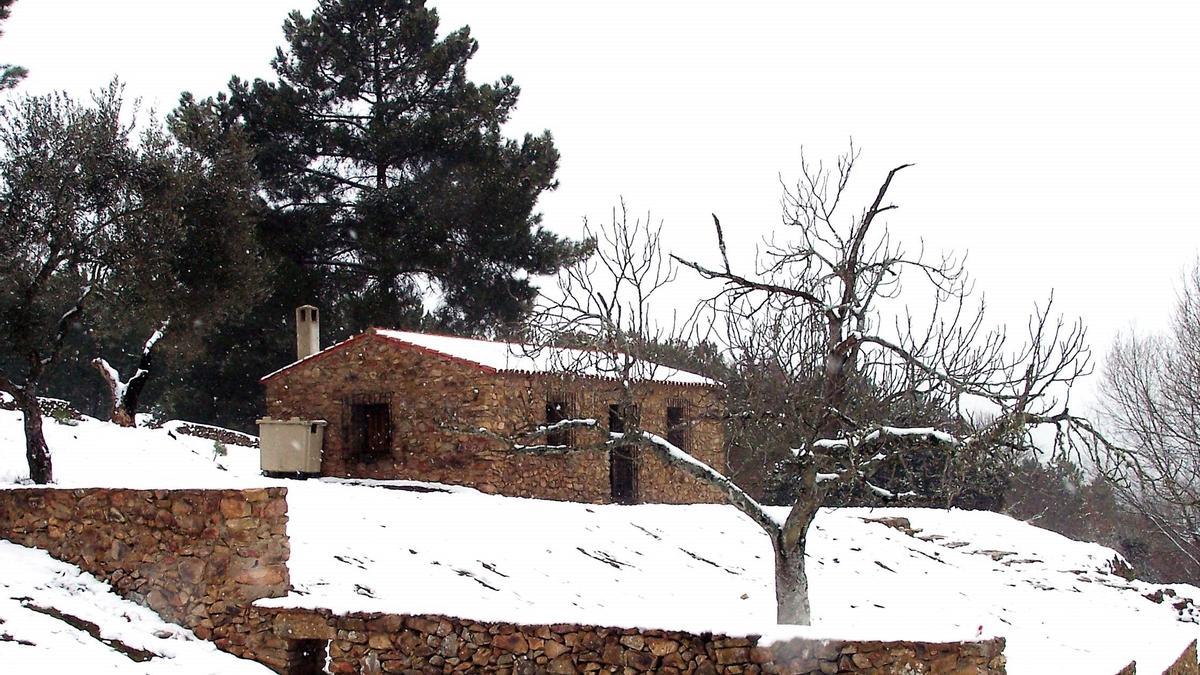 Espacio natural de Aguafría nevado, donde se instalará el parque de ocio activo de Monesterio.