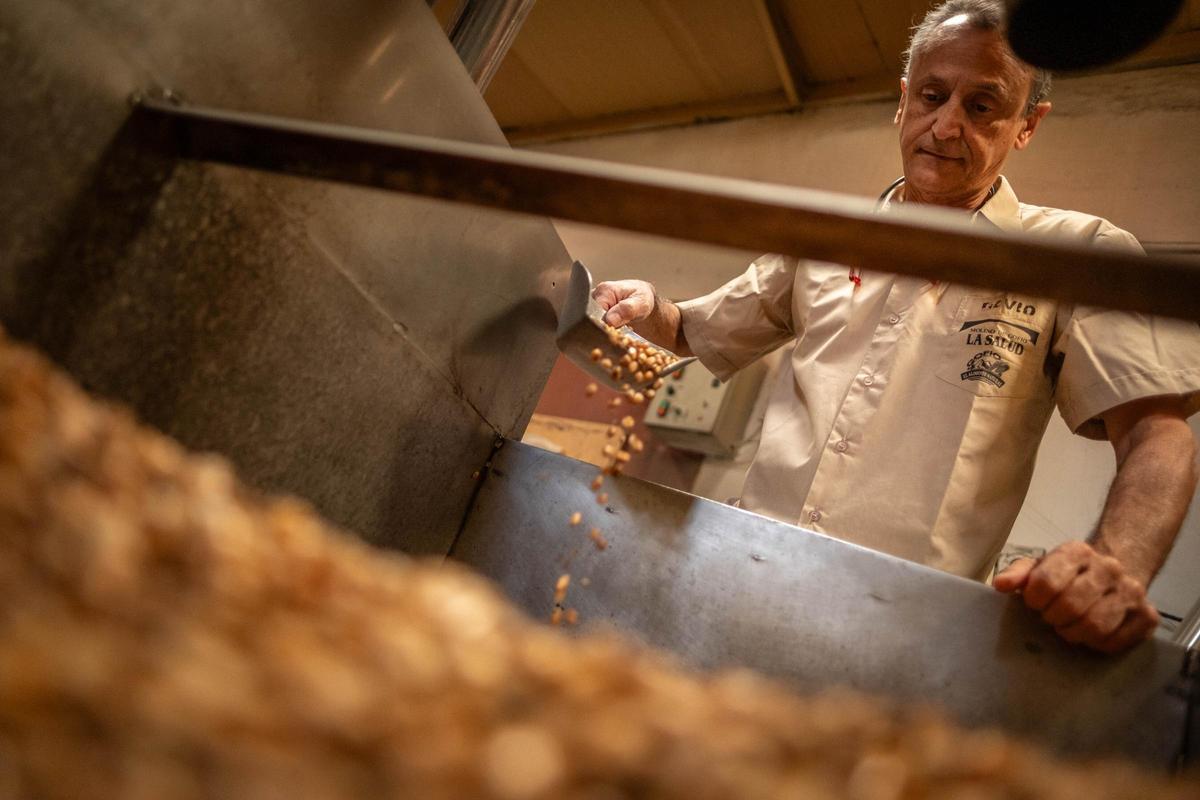 David García, en pleno proceso de elaboració de gofio en su molino en La Salud.
