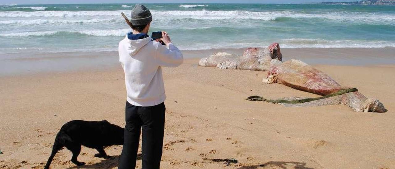 Un hombre toma imágenes del cachalote varado en A Lanzada. // Muñiz