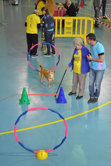 OLIMPIADA DEL ABUELO CANARIO