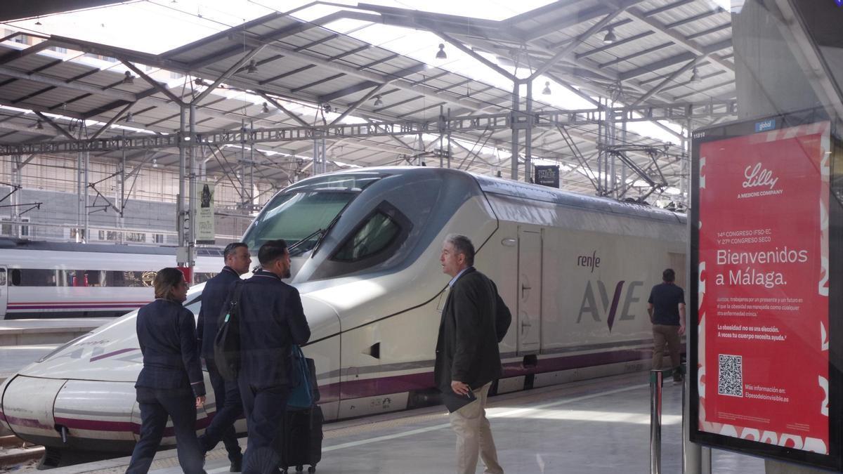 Vuelve a abrirse la conexión en AVE entre Málaga y Madrid