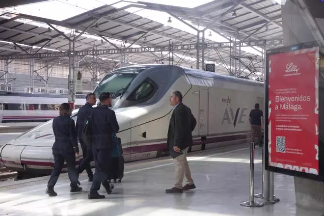 Vuelve a abrirse la conexión en AVE entre Málaga y Madrid