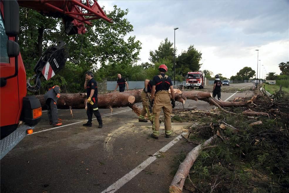 Efectos del viento huracanado en Zaragoza