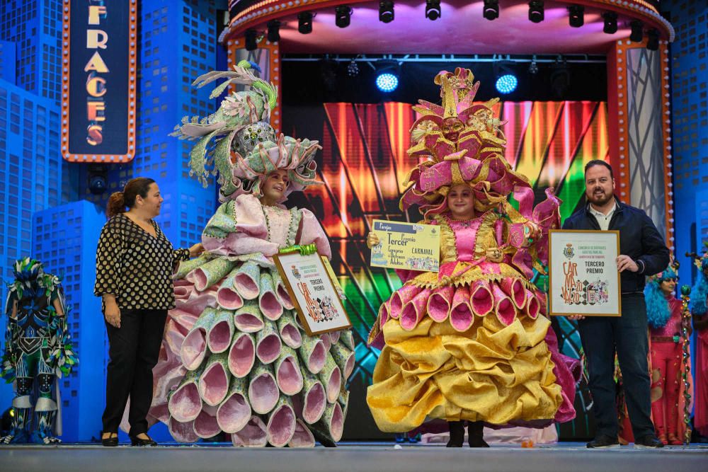 Fotos de los ganadores y de todos los participantes en el Concurso de Disfraces del Carnaval de Santa Cruz de Tenerife.  | 16/02/2020 | Fotógrafo: Andrés Gutiérrez Taberne