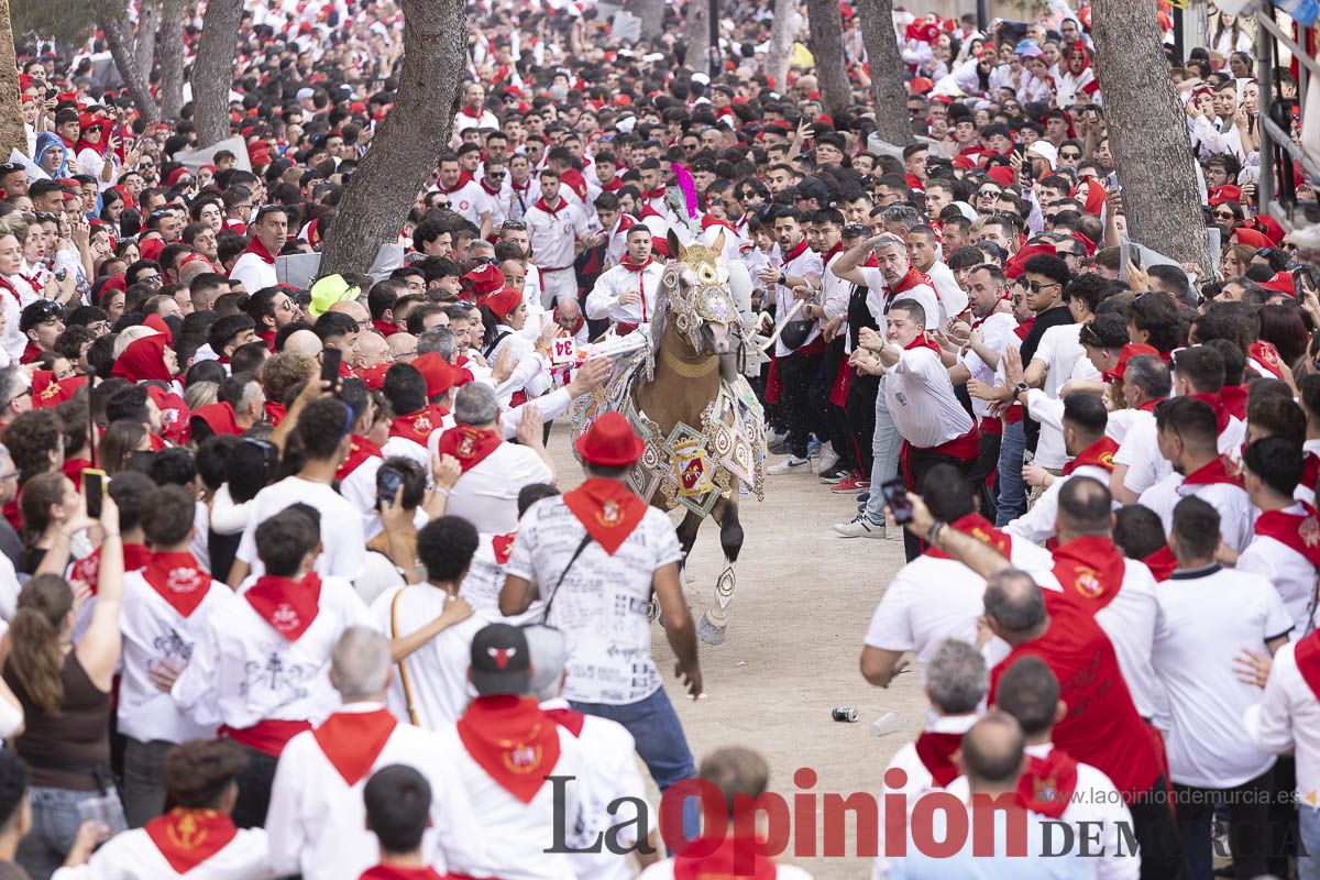 Así se ha vivido la carrera de Los Caballos del Vino en Caravaca
