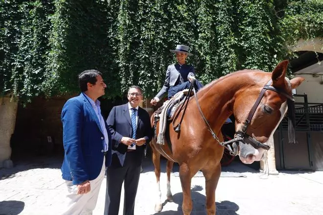 Bellido espera cerrar la cesión de Caballerizas a Córdoba Ecuestre antes de acabar el mandato