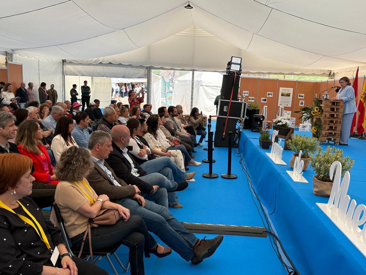 Lleno en el primer día de la Feria de Muestras de Tineo Lleno en el primer día de la Feria de Muestras de Tineo