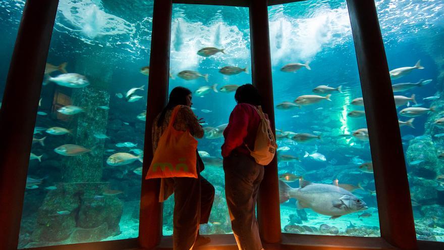 Niños y mayores disfrutan de la jornada de museos abiertos