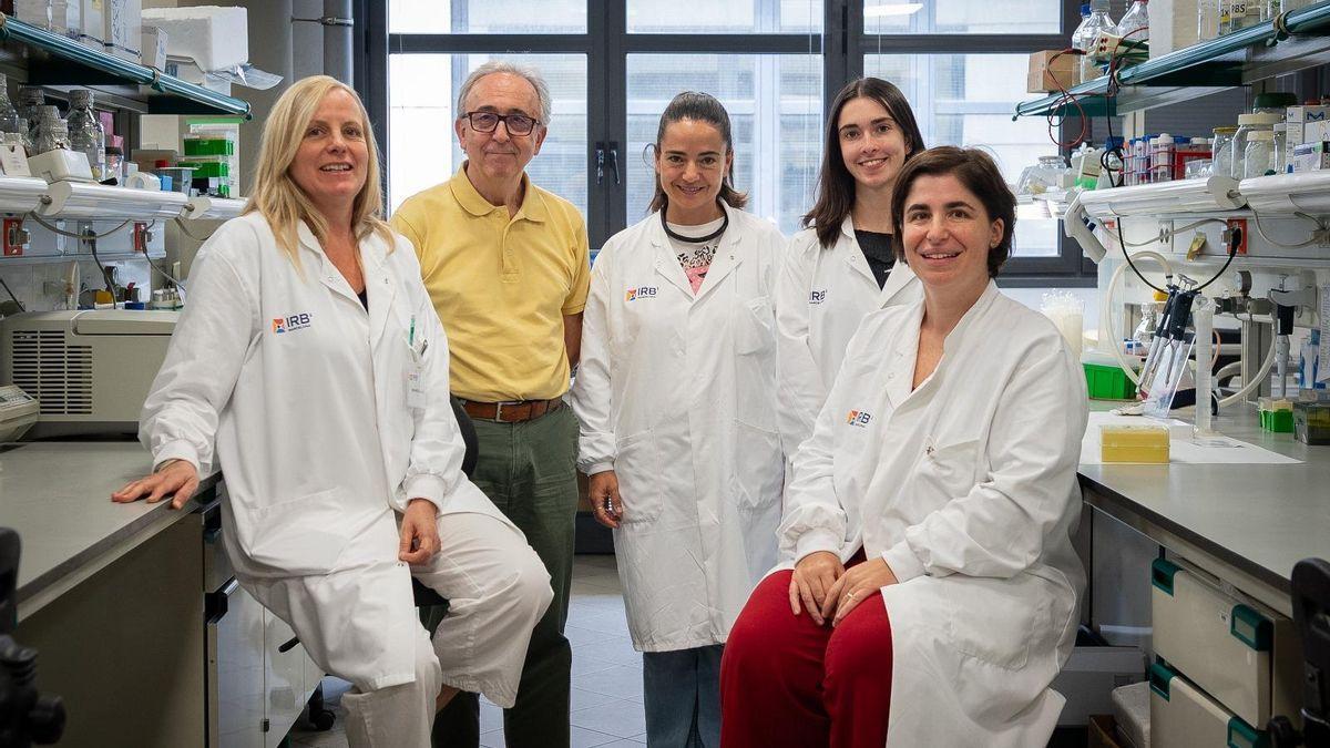 Los investigadores del IRB Barcelona que han identificado una nueva estrategia para combatir la obesidad