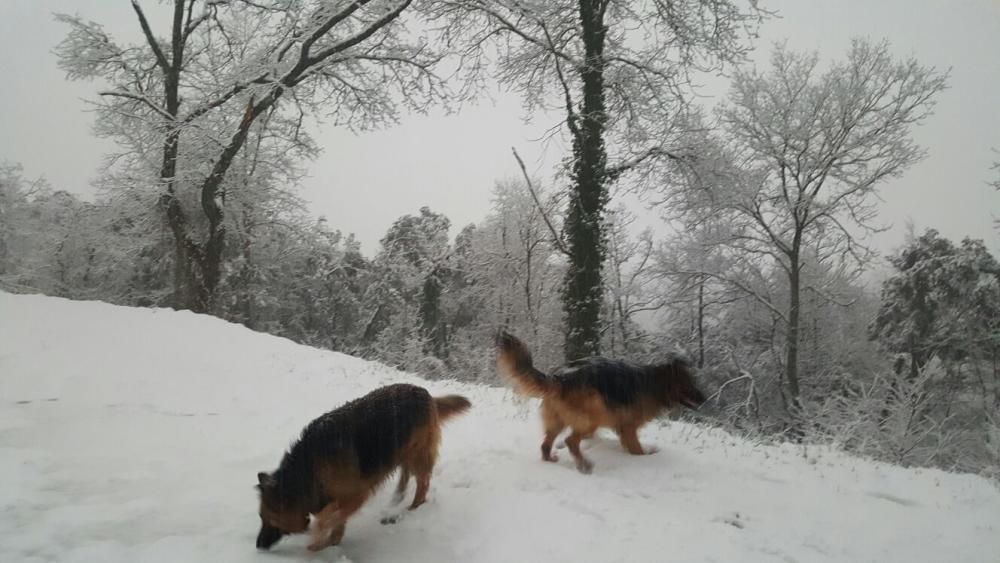 Neu a Girona