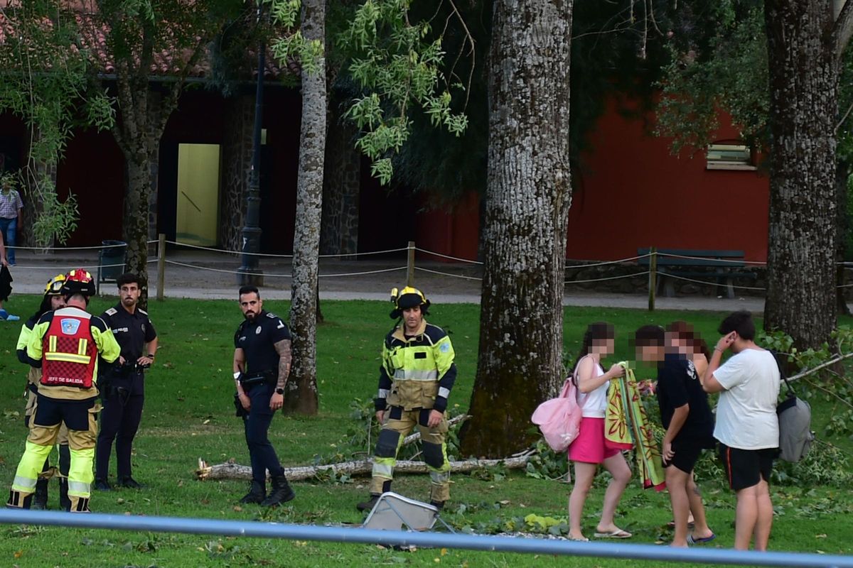 Susto en La Isla de Plasencia al caer ramas sobre una zona con usuarios.